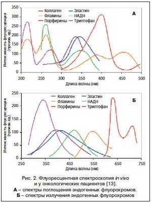 Возможности применения раман-флуоресцентной спектроскопии в оториноларингологии