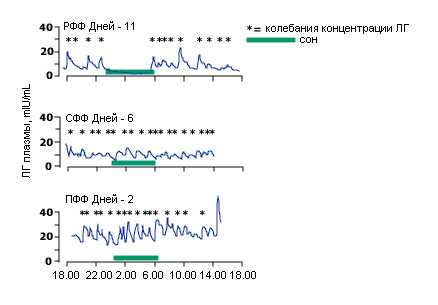 Рис.5. Эпизодическая секреция ЛГ в фолликулярную фазу