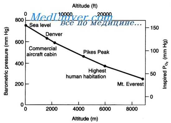 легочная вентиляция