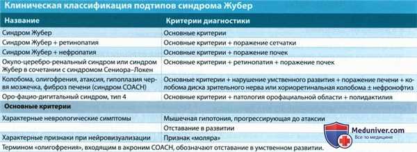 УЗИ, МРТ при синдроме Жубера у плода
