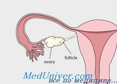 беременность после лучевой терапии