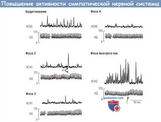 Повышение активности симпатической нервной системы