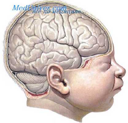 нервная система у детей
