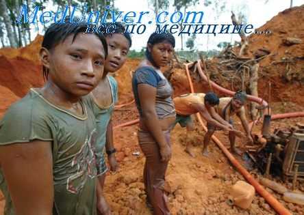 флеботомная лихорадка