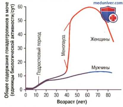 Ановуляторный цикл. Подростковый период девочки и наступление менструации
