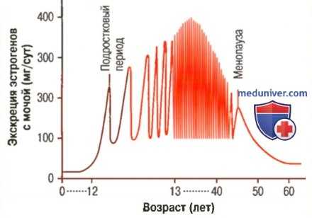 Гиперпролактинемический гипогонадизм