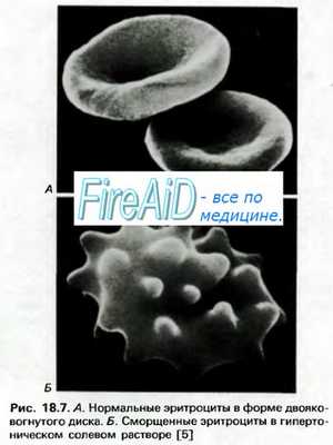 Транспорт газов кровью. Транспорт кислорода. Кислородная емкость гемоглобина.