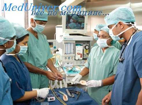 метаболизм в организме