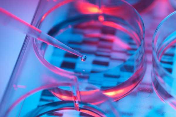 Методы диагностики наследственных заболеваний