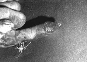 Снимок экрана 2015-10-26 в 22.05.20