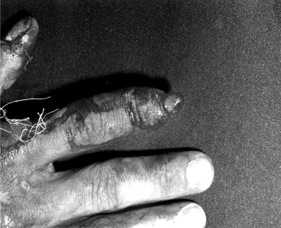 Снимок экрана 2015-10-26 в 22.05.29