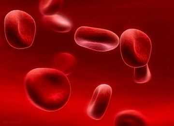 Почему трансплантация стволовых клеток считается эффективным способом лечения рака