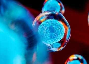 Почему трансплантация стволовых клеток считается эффективным способом лечения рака