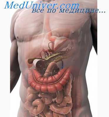 пальпация кишечника