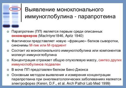 парапротеин