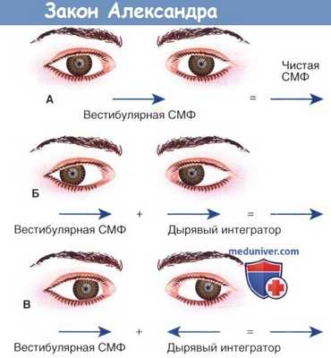 Закон Александра