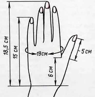 Как измерить обхват ладони у мужчин, женщин, ребенка