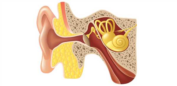 калорическая проба правила
