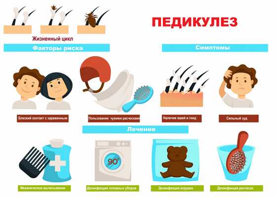 Педикулез.jpg