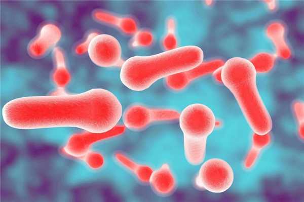 бактерии Clostridium botulinum