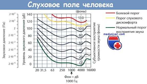 Слуховое поле человека