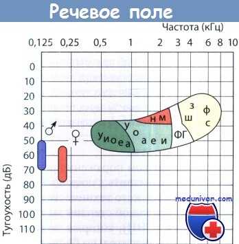 Речевое поле