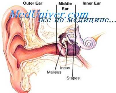отосклероз и отоспонгиоз