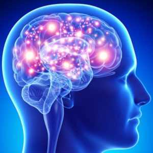 Зачем нам дофамины и как повысить их уровень