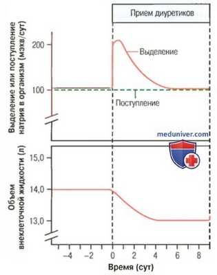Осмотические диуретики. Петлевые диуретики