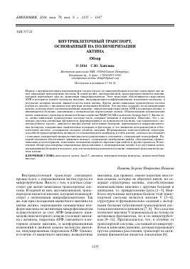 ВНУТРИКЛЕТОЧНЫЙ ТРАНСПОРТ, ОСНОВАННЫЙ НА ПОЛИМЕРИЗАЦИИ АКТИНА (ОБЗОР) - тема научной статьи по химии из журнала Биохимия