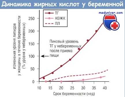 Динамика жирных кислот у беременной