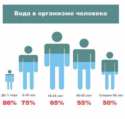 Вода в организме человека.jpg