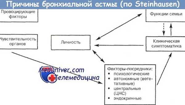 Причины бронхиальной астмы