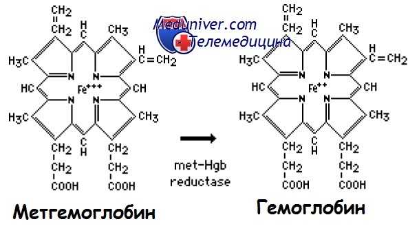 Восстановление метгемоглобина в гемоглобин в норме