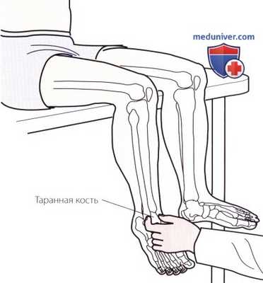Пальпация голеностопного сустава и стопы с тыльной стороны