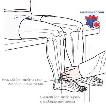 Пальпация голеностопного сустава и стопы с тыльной стороны