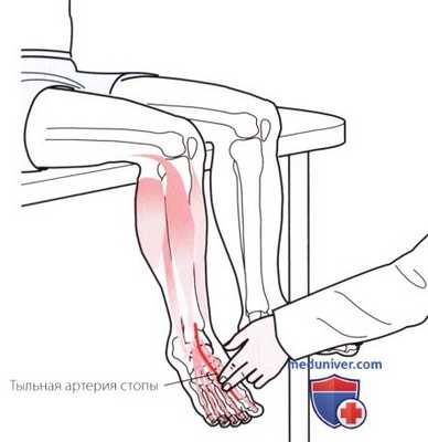 Пальпация голеностопного сустава и стопы с тыльной стороны