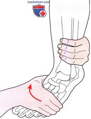 Исследование пассивных движений в голеностопном суставе и стопе