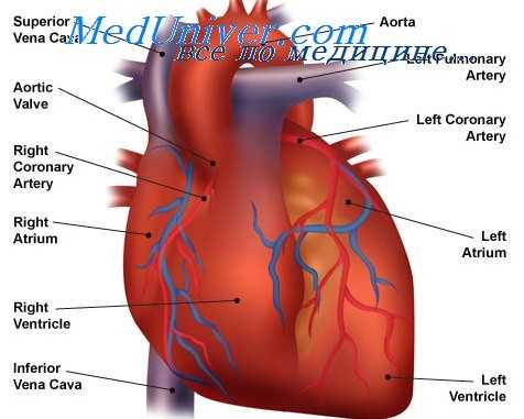 порок сердца