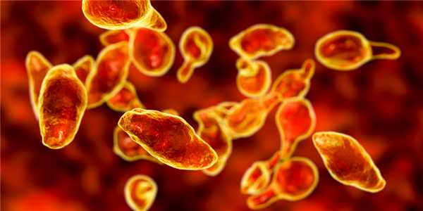 Под микроскопом.jpg