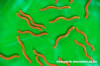 Возвратный тиф