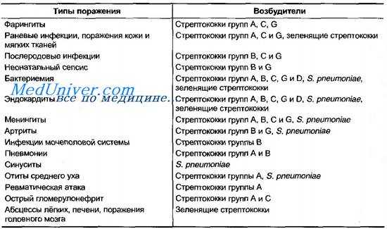 Стрептококки группы А. Streptococcus pyogenes. Пиогенные стрептококки. Инфекции вызываемые стрептококками