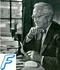 Виды микробиологических исследований. Классификация микробиологических исследований. Микроскопический метод исследования