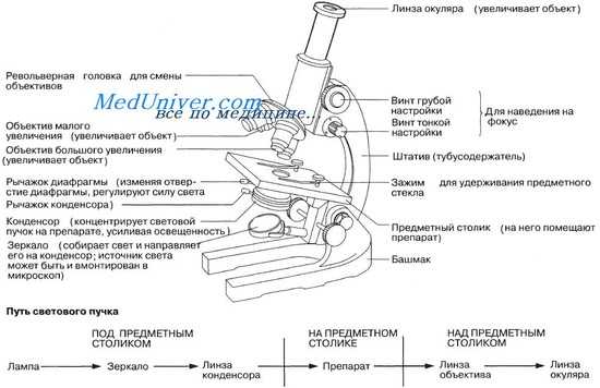 микроскоп