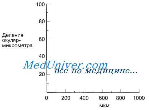 Микрометрия. Измерение микроскопических объектов.