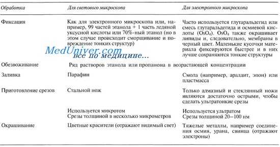Подготовка материала для работы с микроскопом