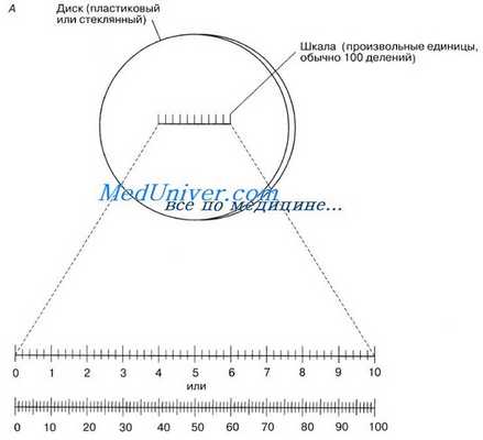 Микрометрия. Измерение микроскопических объектов.