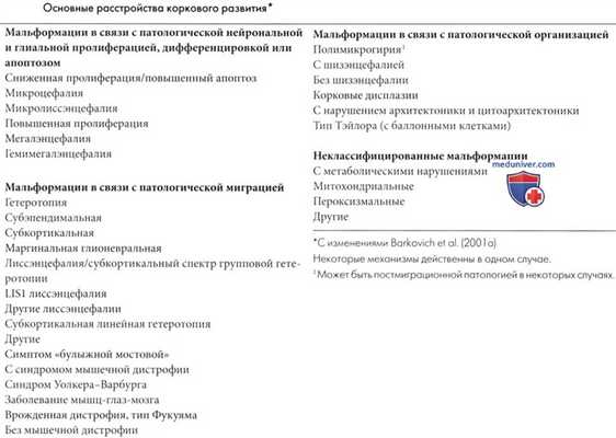Классификация нарушений развития коры головного мозга