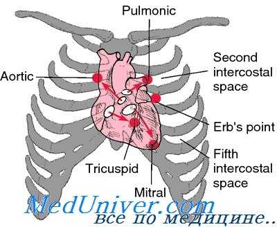 шумы сердца