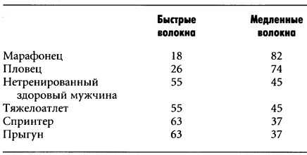Мышечная гипертрофия. Быстрые и медленные мышечные волокна